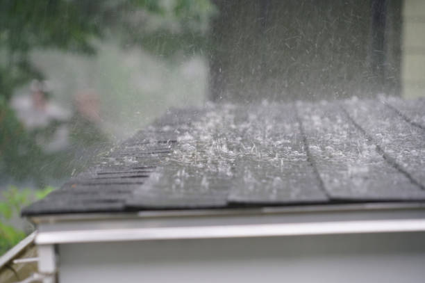 Best Roof Ventilation Installation  in La Cygne, KS