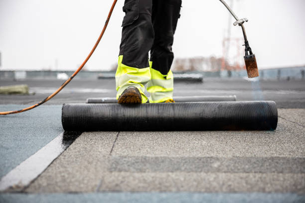Best Solar Panel Roofing Installation  in La Cygne, KS