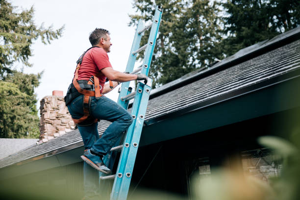 Best Roof Leak Repair  in La Cygne, KS