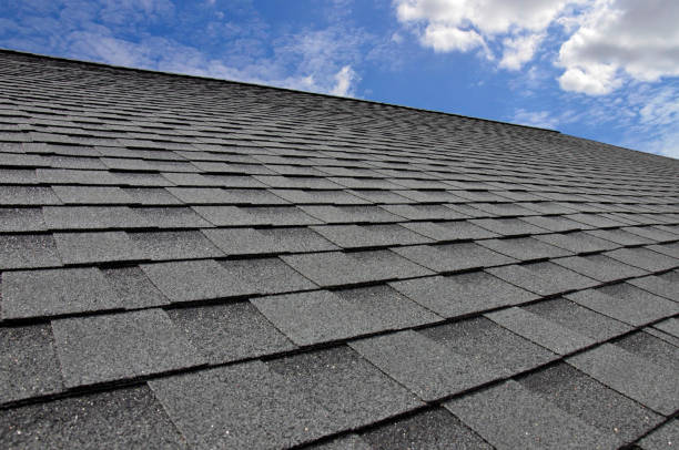 Best Storm Damage Roof Repair  in La Cygne, KS