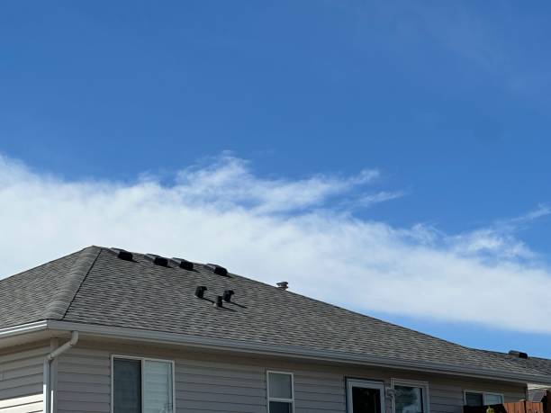 Best Chimney Flashing Repair  in La Cygne, KS
